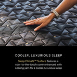 Beautyrest Black® Series Four 16" Black Hybrid Queen Plush Apex Top Mattress - Ornate Home