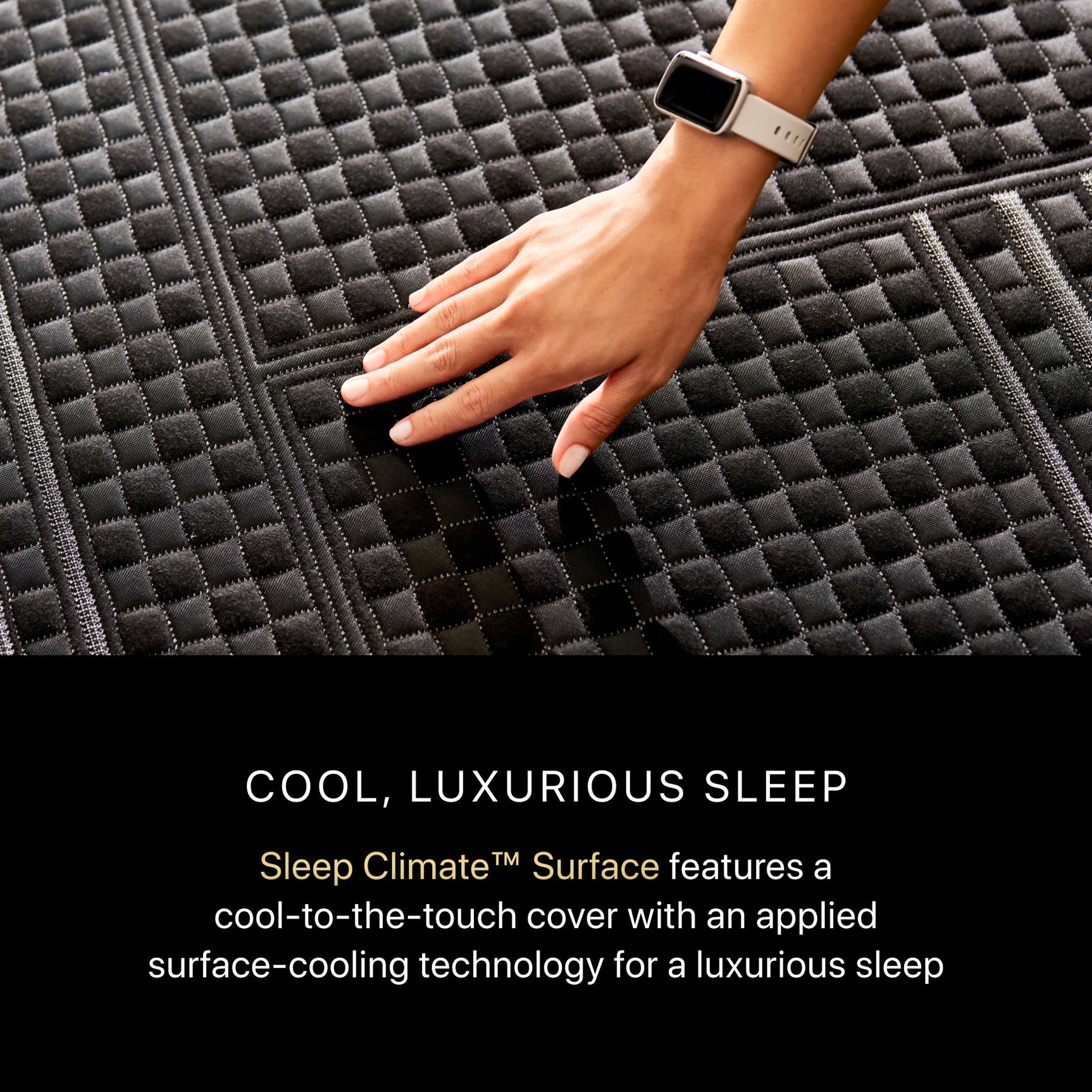 Beautyrest Black® Series One 12.5" Black Hybrid California King Plush Mattress - Ornate Home