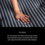 Beautyrest Black Series One 14" Plush Innerspring Split Cal King Mattress (Set of 2) - Ornate Home