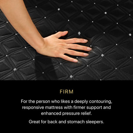 Beautyrest Black® Series Three 14.5" Black Hybrid Queen Firm Mattress - Ornate Home