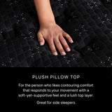Beautyrest Black Series Three 16.75" Plush Pillow Top Innerspring Split Cal King Mattress (Set of 2) - Ornate Home