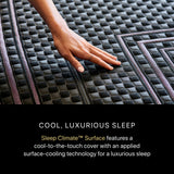 Beautyrest Black® Series Two 13.5" Black Hybrid King Firm Mattress - Ornate Home