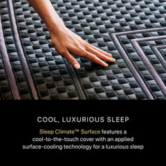 Beautyrest Black® Series Two 14.5" Black Hybrid Full Medium Apex Top Mattress - Ornate Home