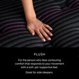 Beautyrest Black Series Two 15.25" Black Innerspring Queen Plush Mattress - Ornate Home