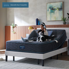 Beautyrest Level Two Gray Hybrid Cal King Hybrid Medium Firm Mattress - Ornate Home
