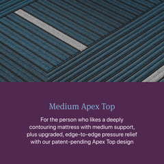 Beautyrest World Class Level Four Gray/Dark Blue Hybrid Full Medium Apex PillowTop Mattress - Ornate Home