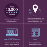 Beautyrest World Class Level Four Gray/Dark Blue Hybrid King Medium Apex PillowTop Mattress - Ornate Home