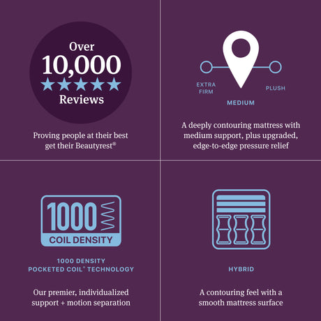 Beautyrest World Class Level Four Gray/Dark Blue Hybrid Twin Medium Apex PillowTop Mattress - Ornate Home