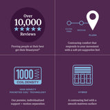 Beautyrest World Class Level Four Gray/Dark Blue Hybrid Twin Plush Mattress - Ornate Home