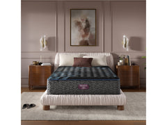 Beautyrest World Class Level Four Gray Innerspring Queen Medium Mattress - Ornate Home