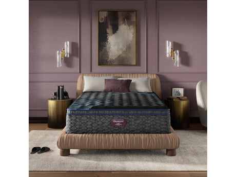 Beautyrest World Class Level Four Gray Innerspring Twin Firm Pillow Top Mattress - Ornate Home