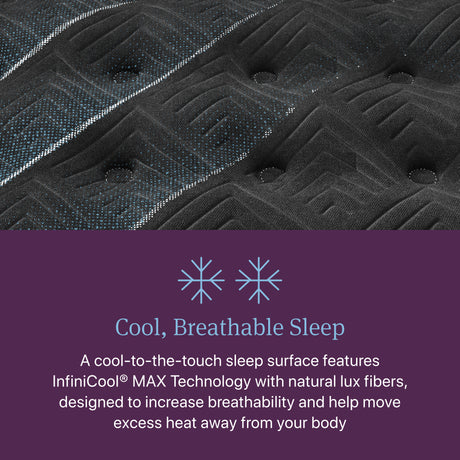 Beautyrest World Class Level Four Gray Innerspring Twin Firm Pillow Top Mattress - Ornate Home