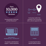 Beautyrest World Class Level Three Gray/Dark Blue Hybrid Twin Plush Mattress - Ornate Home