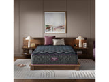 Beautyrest World Class Level Three Gray Innerspring King Plush Mattress - Ornate Home