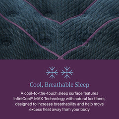 Beautyrest World Class Level Three Gray Innerspring King Plush Pillow Top Mattress - Ornate Home