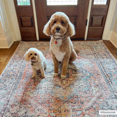 Beck Peach Washable Area Rug - Clearance - Ornate Home