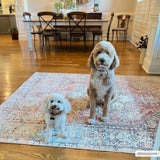 Beck Peach Washable Area Rug - Clearance - Ornate Home