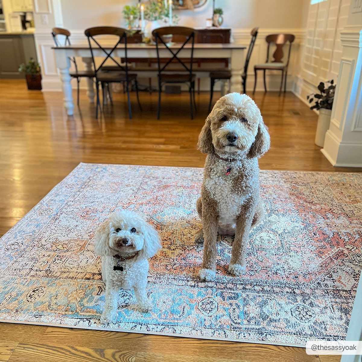 Beck Peach Washable Area Rug - Clearance - Ornate Home