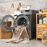 Beck Peach Washable Area Rug - Ornate Home