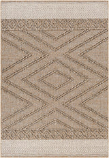 Beige Areli Outdoor Area Rug - Ornate Home