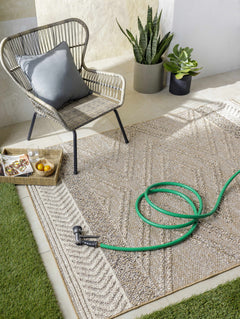 Beige Areli Outdoor Area Rug - Ornate Home