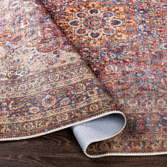 Belison Washable Area Rug - Clearance - Ornate Home