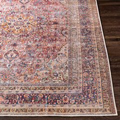 Belison Washable Area Rug - Clearance - Ornate Home