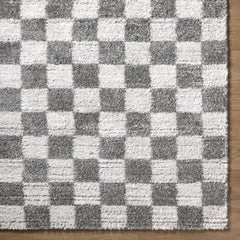 Belita Charcoal Luxe Shag Area Rug - Ornate Home