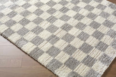 Belita Tan Luxe Shag Area Rug - Ornate Home