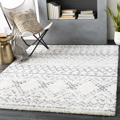 Benezett Area Rug - Clearance - Ornate Home