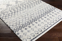 Benezett Area Rug - Clearance - Ornate Home