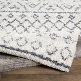 Benezett Area Rug - Clearance - Ornate Home