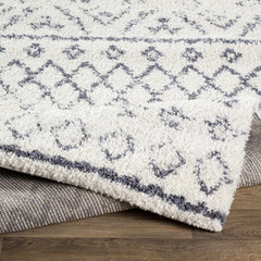 Benezett Area Rug - Clearance - Ornate Home