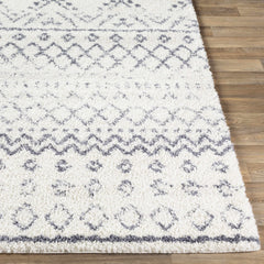 Benezett Area Rug - Clearance - Ornate Home
