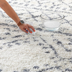 Benezett Area Rug - Clearance - Ornate Home