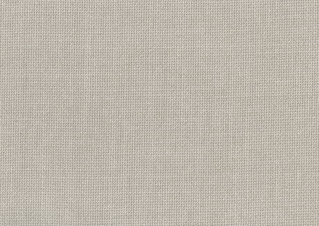 Benito Beige Side Chair (Set of 2) - Ornate Home