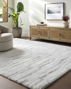 Benjen Gray Area Rug - Ornate Home
