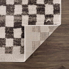 Benjy Cream & Charcoal Checkered Area Rug - Ornate Home