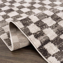 Benjy Cream & Charcoal Checkered Area Rug - Ornate Home