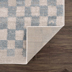 Benjy Cream & Light Blue Checkered Area Rug - Ornate Home