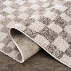 Benjy Irregular Checkboard Rug - Beige - Ornate Home