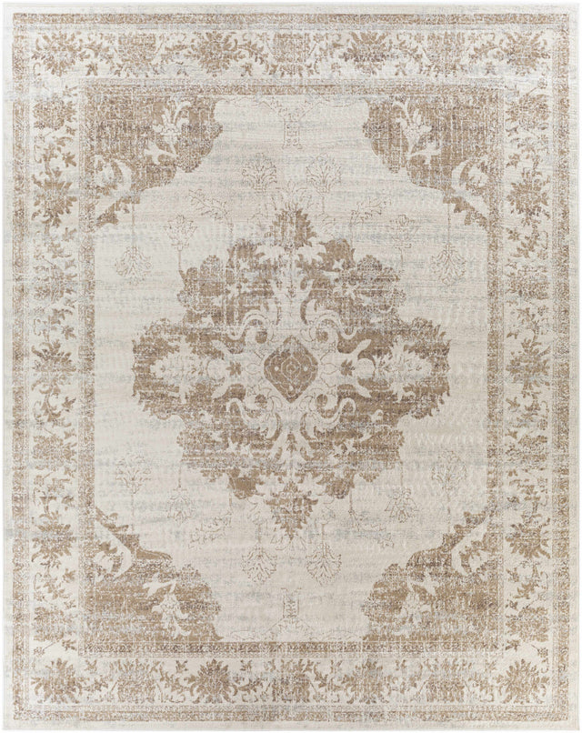 Benkelman Area Rug - Ornate Home