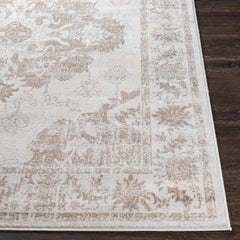 Benkelman Area Rug - Ornate Home