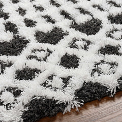 Bente Shag Area Rug - Ornate Home