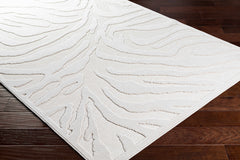 Benzonia 3D White Zebra Outdoor Rug - Ornate Home