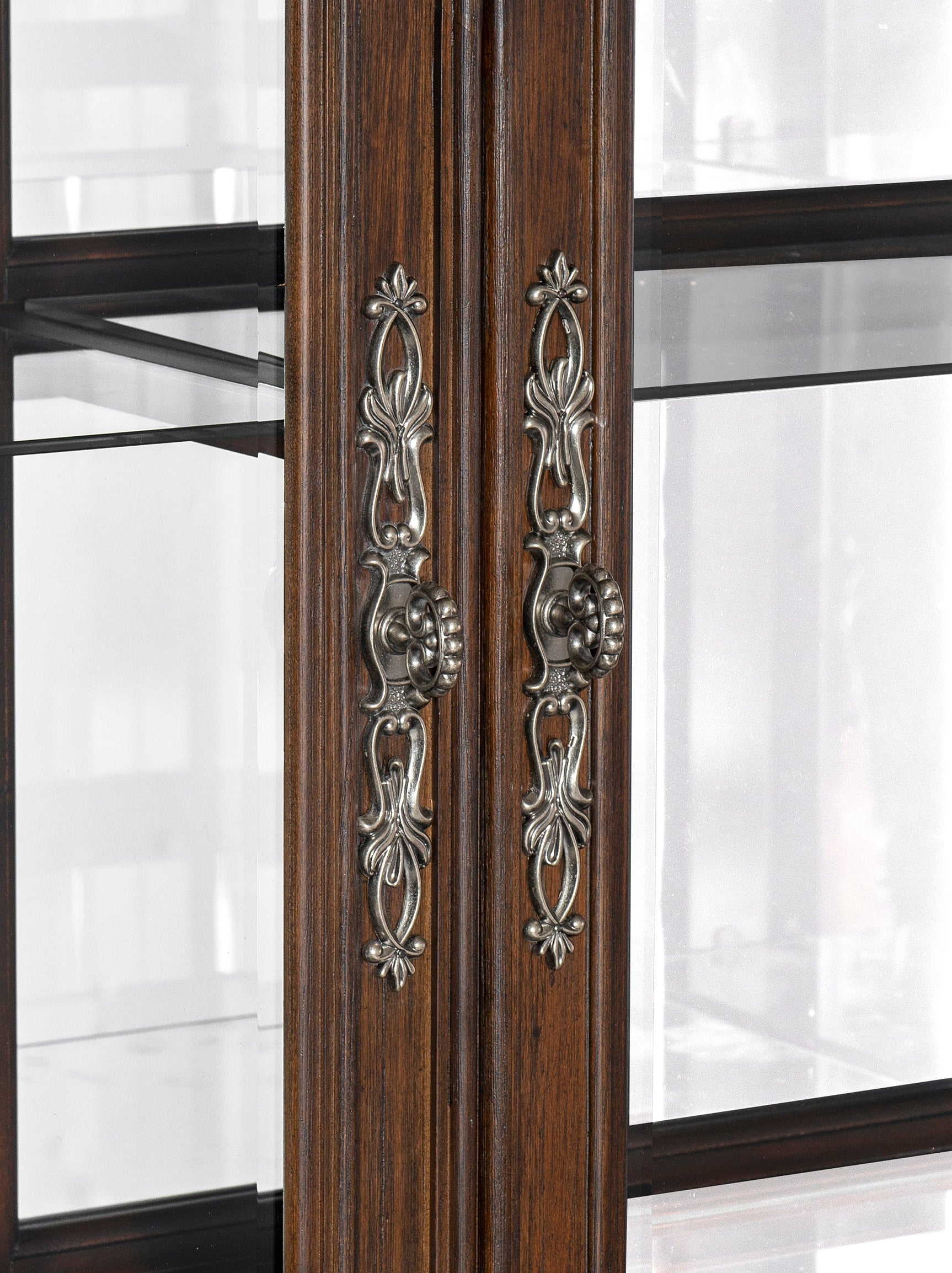 Bergen Dark Oak Curio - Ornate Home