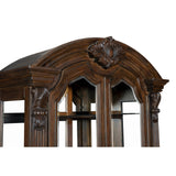 Bergen Dark Oak Curio - Ornate Home