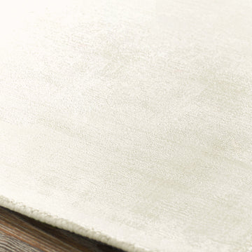 Berlin Ivory Distressed Rug - Ornate Home