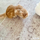 Bethany Washable Area Rug - Ornate Home