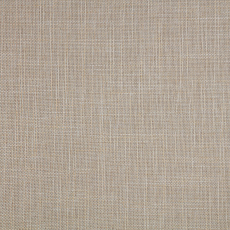 Bexhill White Eastern King Queen Panel Bed - Ornate Home